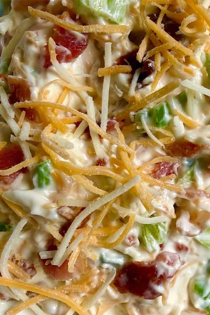 Ultra close-up of creamy bacon cheddar dip showing melted cheese, bacon, and green onion pieces
