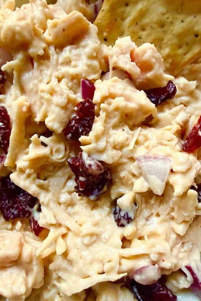 Close-up of Chicken and Cranberry Salad with canned chicken, reduced-sugar dried cranberries, red onion, and a creamy mayonnaise dressing.
